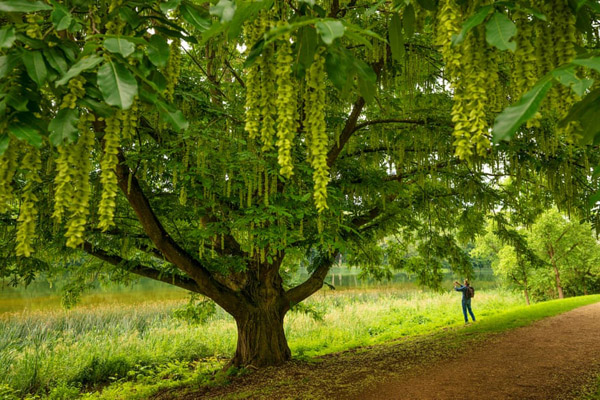 تصاویر برگزیده طبیعت و حیات وحش در هفته اخیر (گزارش تصویری) تصاویر برگزیده طبیعت و حیات وحش در هفته اخیر (گزارش تصویری)