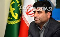 صادرات مرغ نداریم