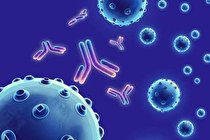 پادتن‌ هایی که نوروویروس‌ ها را خنثی می‌کنند