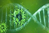 عفونت کووید ۱۹ آنتی بادی قوی در کودکان ایجاد می کند