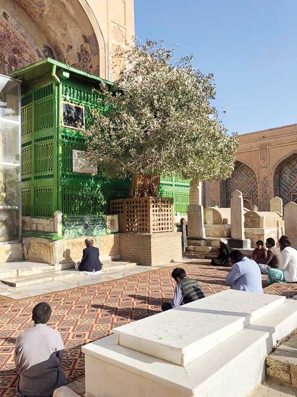 آمر صاحب دِ خانه شویم چای تیار است (+تصاویر)