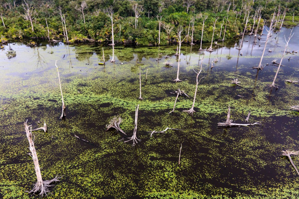لحظات برگزیده حیات وحش (گزارش تصویری) لحظات برگزیده حیات وحش (گزارش تصویری)