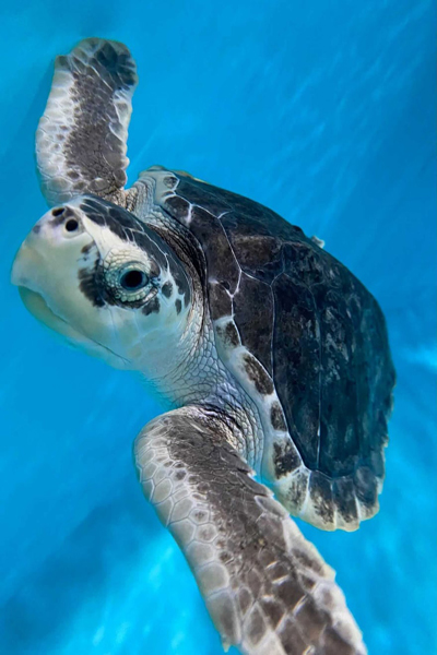 لحظات برگزیده حیات وحش (گزارش تصویری) لحظات برگزیده حیات وحش (گزارش تصویری)