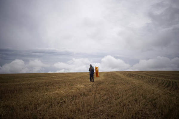 دستگیری دسته جمعی مهاجران غیرقانونی / گردبادی که خانه ها را خراب کرد (گزارش تصویری)