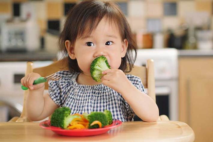 محققان برخی مواد غذایی تقویت کننده مغز کودکان را معرفی کردند که می توانید در مطلب ذیل بخوانید.