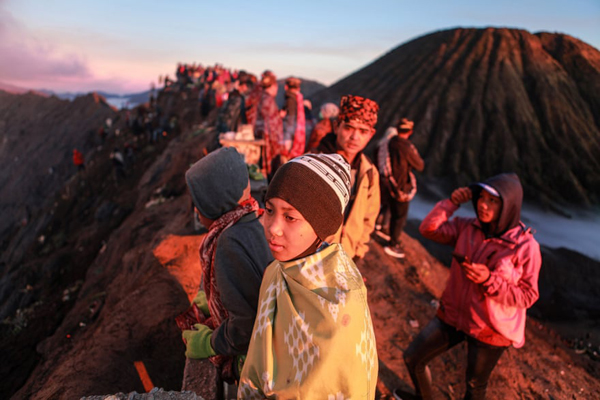 توحش برای یک گور دسته جمعی دیگر / یک حیوان خانگی به نام شیر سفید (گزارش تصویری)