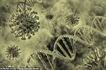 کرونا 20 هزار سال پیش هم شیوع پیدا کرد