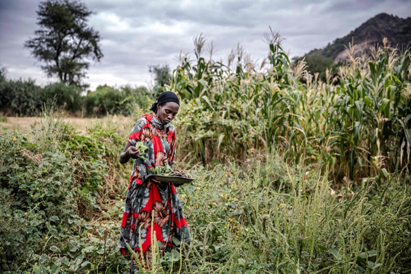 ماجرای هولناک پیدا شدن بیش از 50 جنازه در رودخانه (گزارش تصویری)