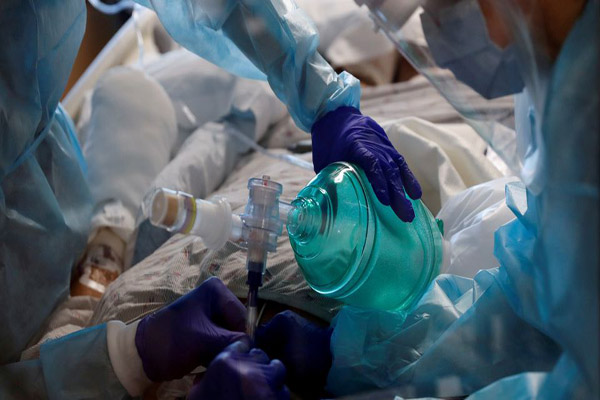 پرنده کوچک، به دنبال شکار عقاب / پلنگی که کرونا گرفت (تصاویر) پرنده کوچک، به دنبال شکار عقاب / پلنگی که کرونا گرفت (تصاویر)