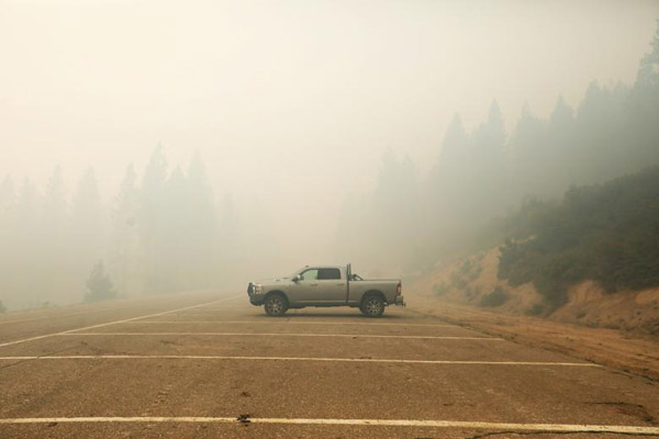 پرنده کوچک، به دنبال شکار عقاب / پلنگی که کرونا گرفت (تصاویر) پرنده کوچک، به دنبال شکار عقاب / پلنگی که کرونا گرفت (تصاویر)