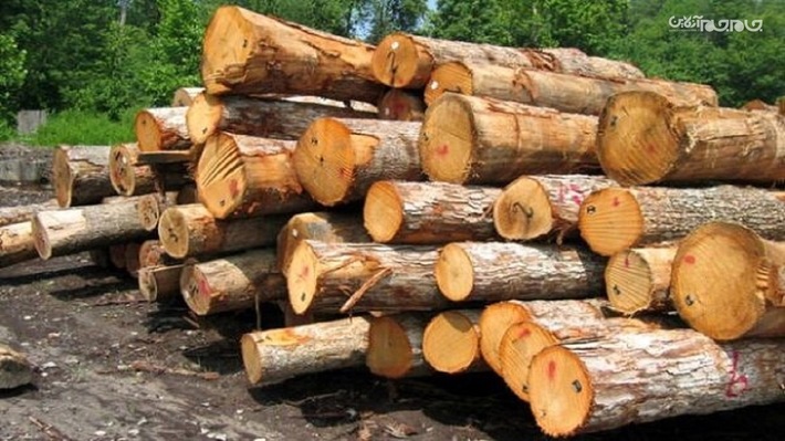 ۶۰ اصله الوار و چوب آلات قاچاق جنگلی توسط ماموران یگان حفاظت منابع طبیعی استان اردبیل کشف شد.