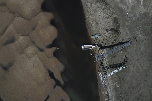 ببر قاتل، زن جوان را کشت (تصاویر) ببر قاتل، زن جوان را کشت (تصاویر)