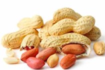 احتمال پیشرفت سرطان با مصرف مداوم بادام زمینی