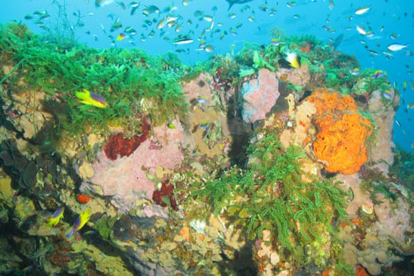 مهم ترین لحظات 24 ساعت اخیر (گزارش تصویری)