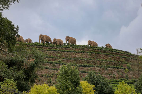 عمو سام هم ضدواکسن شد / کار بسیار خطرناک دو عکاس (تصاویر) عمو سام هم ضدواکسن شد / کار بسیار خطرناک دو عکاس (تصاویر)