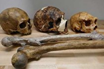 تغییرات آب و هوا اندازه مغز و بدن انسان را تغییر داده است