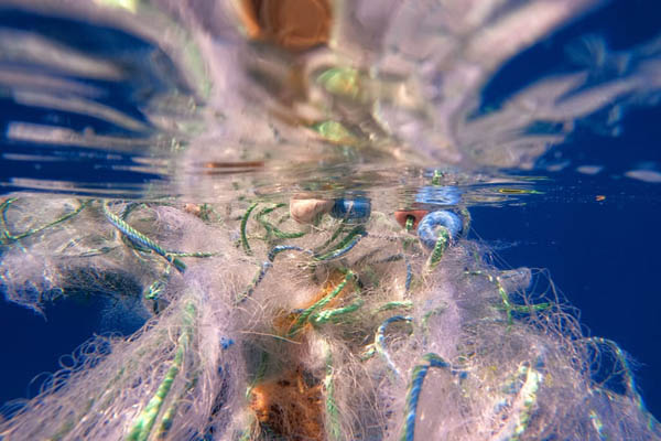 مهم ترین لحظات 24 ساعت اخیر (تصاویر) مهم ترین لحظات 24 ساعت اخیر (تصاویر)