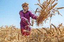 جهان در دو دهه آینده با کمبود غذا مواجه خواهد شد