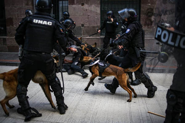 لحظات برگزیده 24 ساعت اخیر (تصاویر)