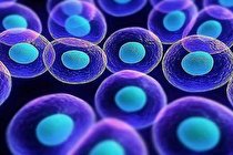 درمان ۷۰ نوع بیماری صعب العلاج توسط علم سلول‌ های بنیادی