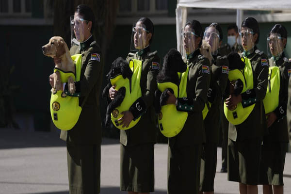 عبور دادن یک نوزاد افغان از دیوار فرودگاه کابل (گزارش تصویری) عبور دادن یک نوزاد افغان از دیوار فرودگاه کابل (گزارش تصویری)