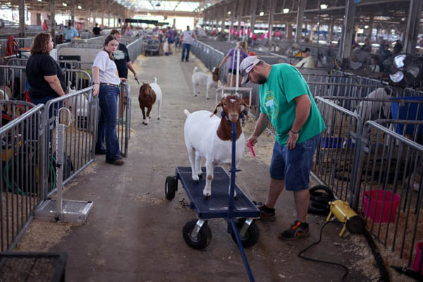 عبور دادن یک نوزاد افغان از دیوار فرودگاه کابل (گزارش تصویری) عبور دادن یک نوزاد افغان از دیوار فرودگاه کابل (گزارش تصویری)