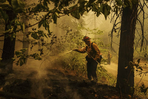 عبور دادن یک نوزاد افغان از دیوار فرودگاه کابل (گزارش تصویری) عبور دادن یک نوزاد افغان از دیوار فرودگاه کابل (گزارش تصویری)