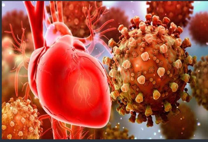 دکتر محمد حسین نجفی، متخصص قلب و عروق و فوق تخصص آنژیو بلاستی می‌گوید ابتلا به کووید-19 می‌تواند احتمال لخته زایی را در کل اعضای بدن از جمله رگ‌های تغذیه کننده قلب افزایش دهد.