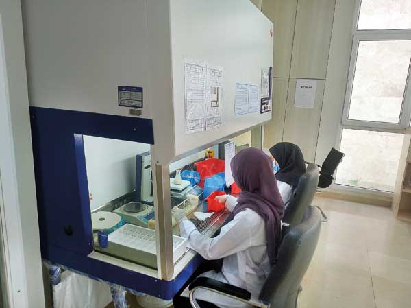 اگر واردكنندگان اجازه دهند آماده رفع نیاز كشوریم