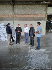 بازدید رییس سازمان جهادکشاورزی اردبیل از واحدهای پروسس بذر شهرستان پارس آباد
