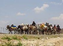 صدور هفت هزار و ۳۰۰ کارت تردد عشایری در لرستان