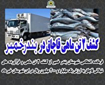 کشف 2 تن ماهی قاچاق در  بندرخمیر