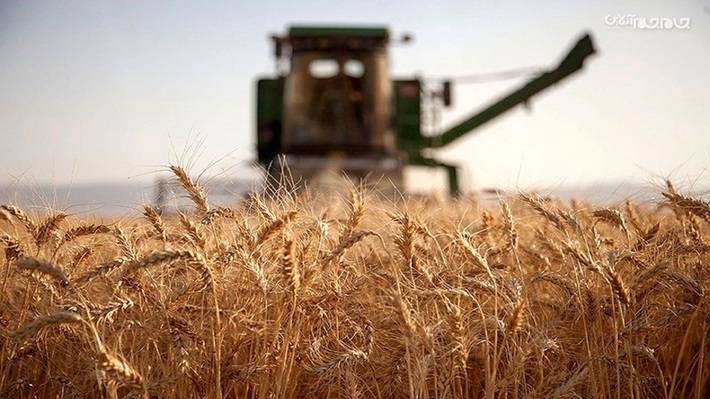 ۱۶۶ هزار تن گندم به ارزش ۸۳۶ میلیارد تومان، از کشاورزان استان اردبیل در ۴۴ مرکز خریداری شده است.