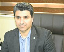 اقدامات بانک توسعه تعاون در حوزه تعاون استان