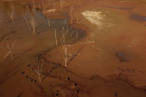 گاز اشک آور برای معترضان ضدواکسن (گزارش تصویری) گاز اشک آور برای معترضان ضدواکسن (گزارش تصویری)