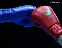 استقبال از نایب قهرمان مسابقات آسیایی بوکس