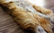 کشف پوست خرگوش وحشی در مراکز عرضه چرم در همدان