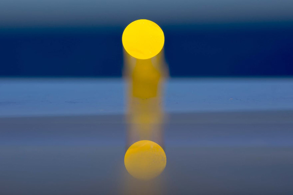 لحظات مهم خبری و غیرخبری اخیر در سراسر جهان (گزارش تصویری)