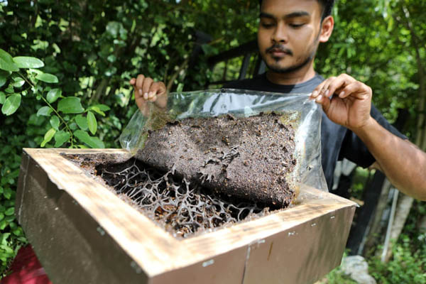 مروری بر لحظات جالب توجه سراسر جهان (گزارش تصویری)