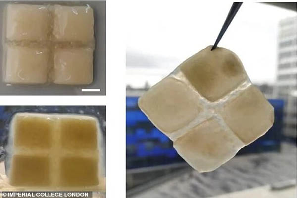 میمون ها طمع کارند / کوهی که به معنای واقعی آب می شود (تصاویر) میمون ها طمع کارند / کوهی که به معنای واقعی آب می شود (تصاویر)