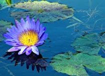 تنها سراب زنده کرمانشاه تا یک ماه دیگر خشک می‌شود