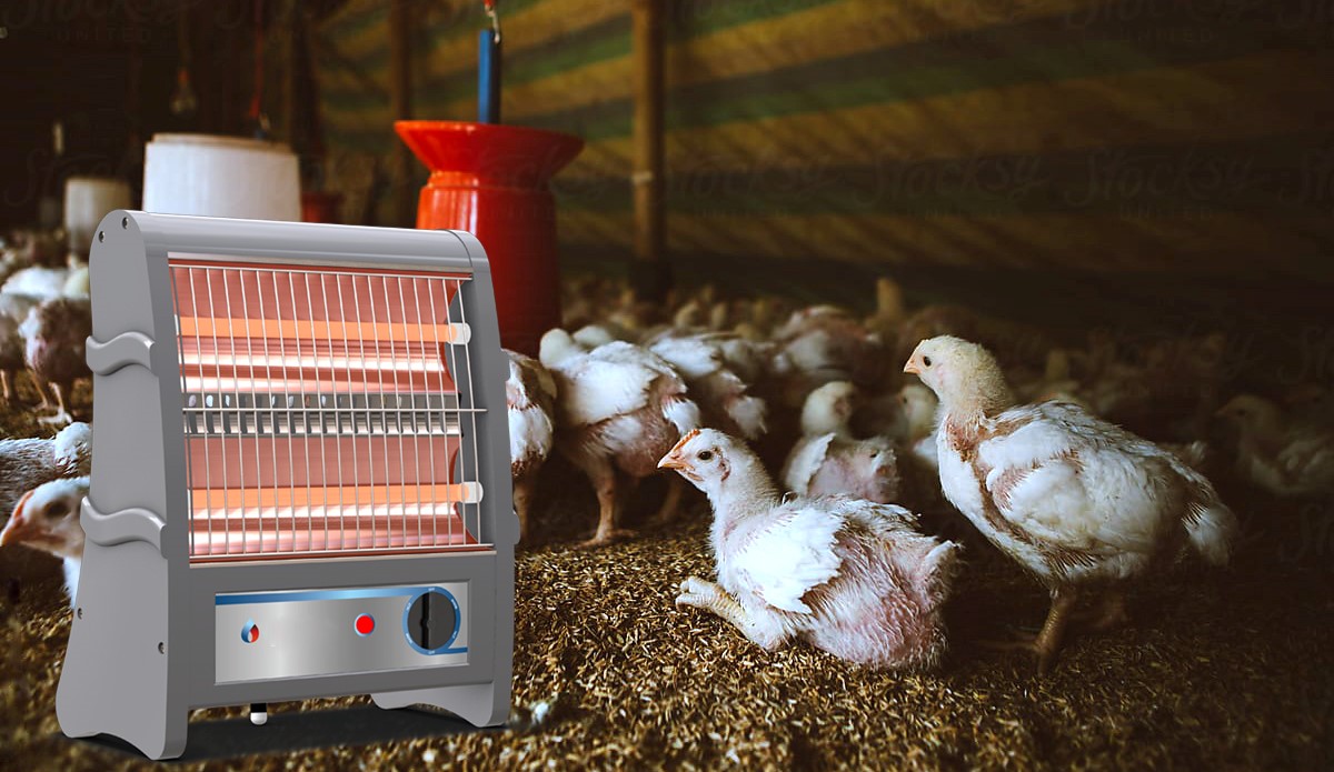 سیستم های تولید گرمای مناسب برای مرغداری