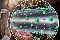 ساخت پانکراس زیستی مصنوعی برای درمان دیابت نوع یک