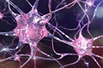 درمان ام‌ اس با کمک مولکولی که سلول‌ ها را بیدار می‌کند