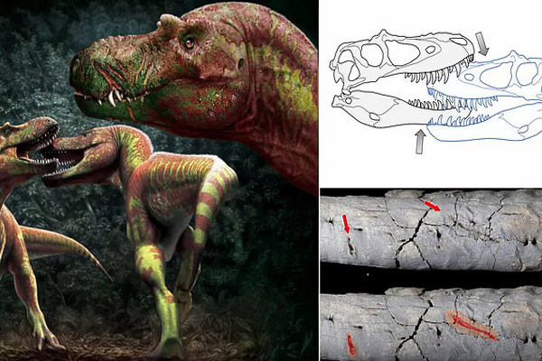 یک تکه استخوان سگ در اطراف خورشید / ماجرای عینک جدید فیسبوک یک تکه استخوان سگ در اطراف خورشید / ماجرای عینک جدید فیسبوک