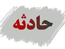 چیدن گردو در صحنه صاحب باغ را به کام مرگ کشاند