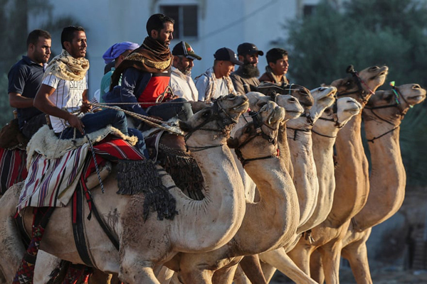 کشتار بی رحمانه و خونین 1500 دلفین (گزارش تصویری) کشتار بی رحمانه و خونین 1500 دلفین (گزارش تصویری)