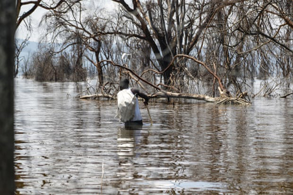 کشتار بی رحمانه و خونین 1500 دلفین (گزارش تصویری) کشتار بی رحمانه و خونین 1500 دلفین (گزارش تصویری)