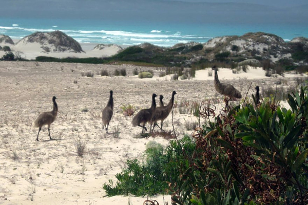 تصاویر برگزیده حیات وحش و محیط زیست در هفته اخیر  (گزارش تصویری) تصاویر برگزیده حیات وحش و محیط زیست در هفته اخیر  (گزارش تصویری)