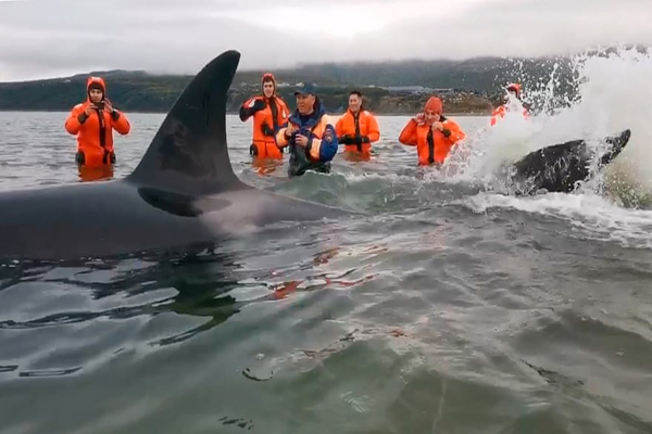 تصاویر برگزیده حیات وحش و محیط زیست در هفته اخیر  (گزارش تصویری) تصاویر برگزیده حیات وحش و محیط زیست در هفته اخیر  (گزارش تصویری)